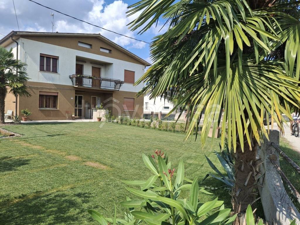 immagine annuncio 2 di 14