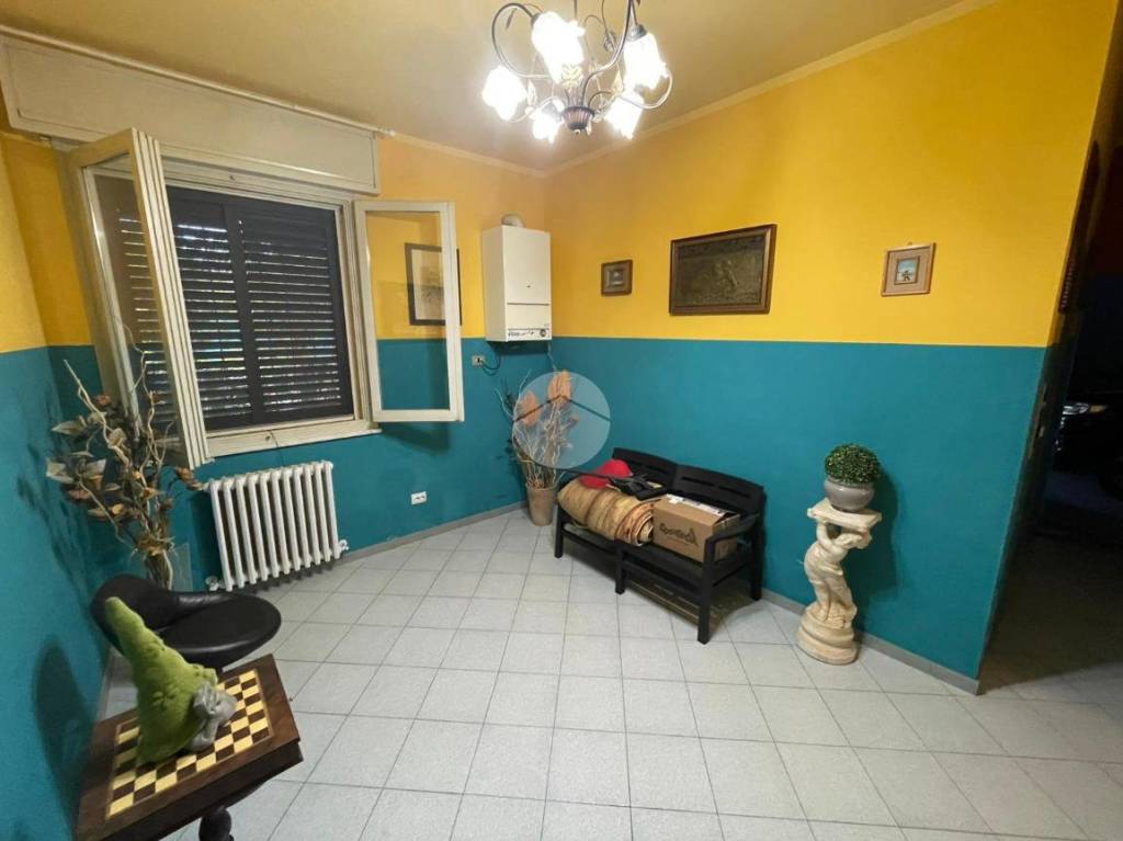 immagine annuncio 8 di 11