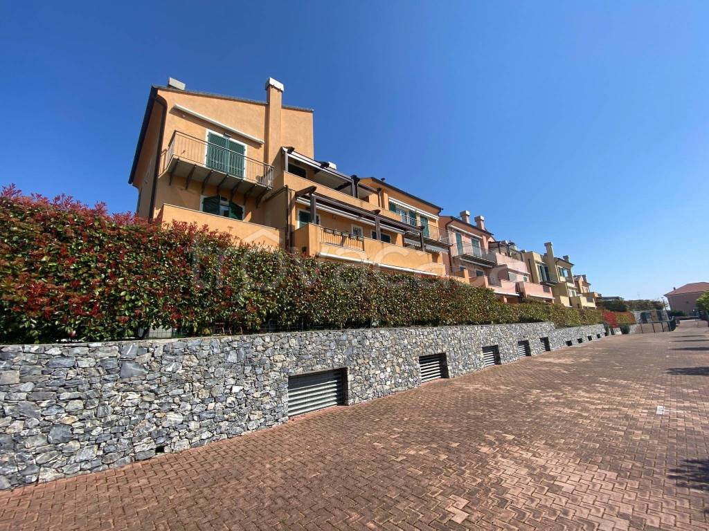 immagine annuncio 8 di 15