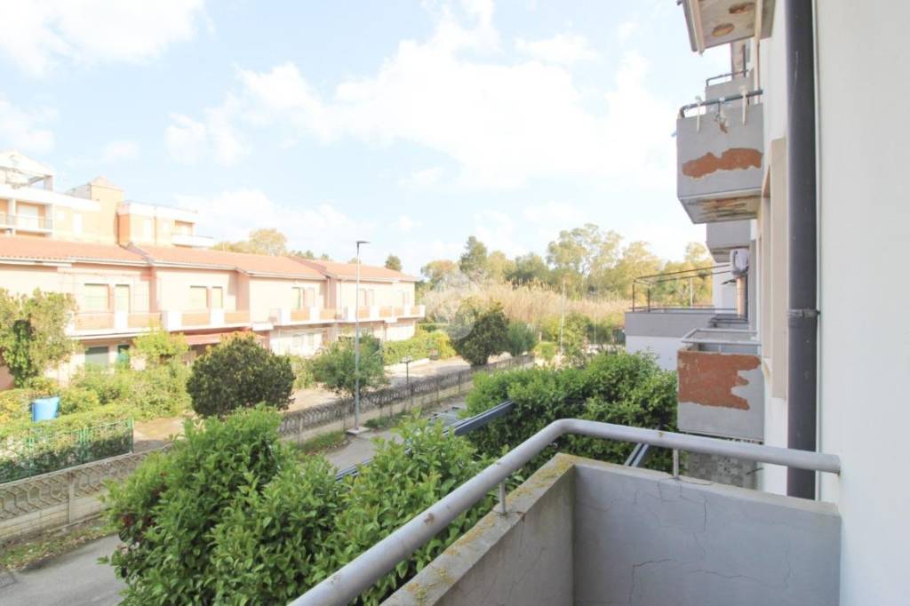 immagine annuncio 11 di 14