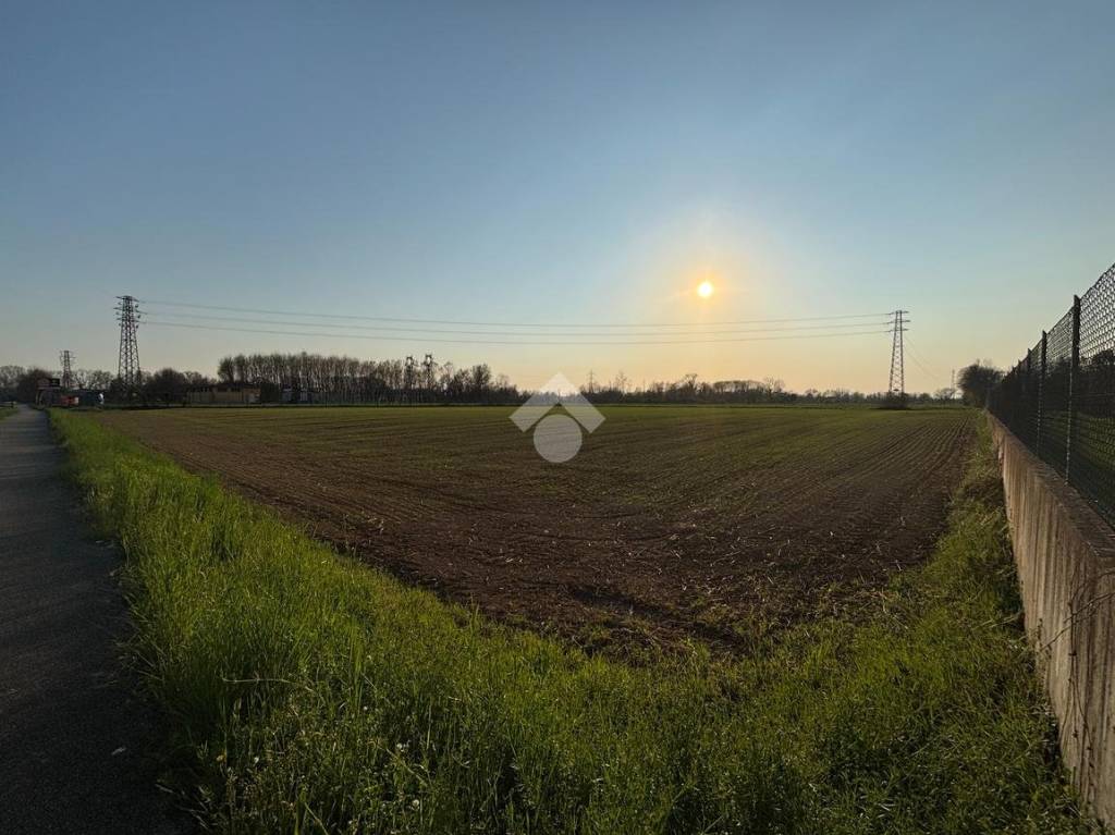 immagine annuncio 1 di 6