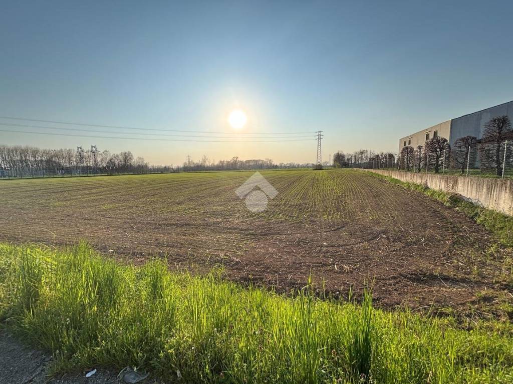 immagine annuncio 3 di 6