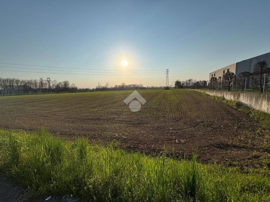 immagine annuncio 4 di 6