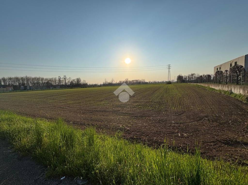 immagine annuncio 5 di 6