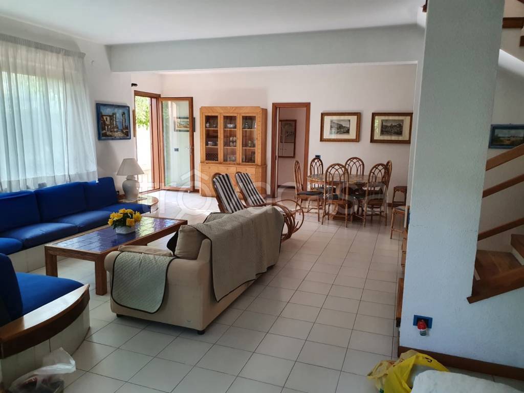 immagine annuncio 3 di 6