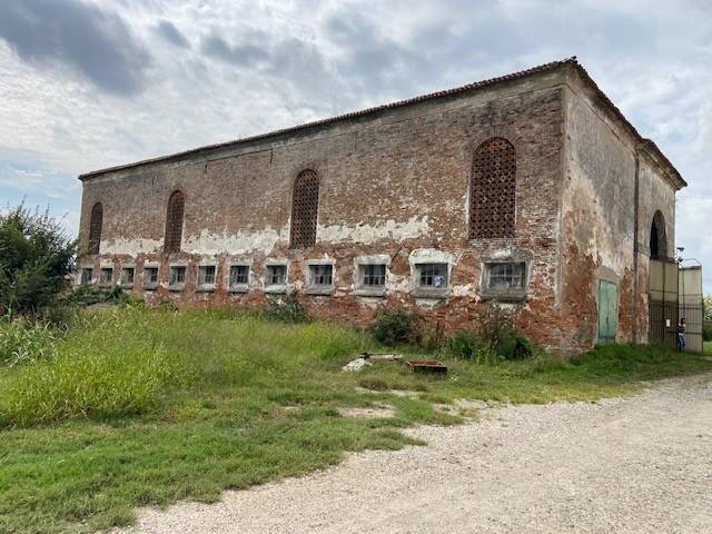 immagine annuncio 7 di 14