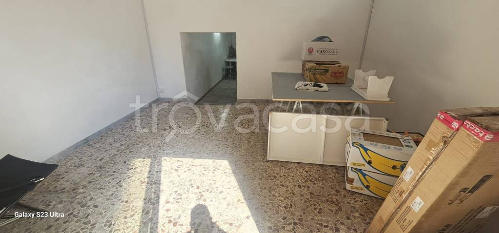 immagine annuncio 1 di 14