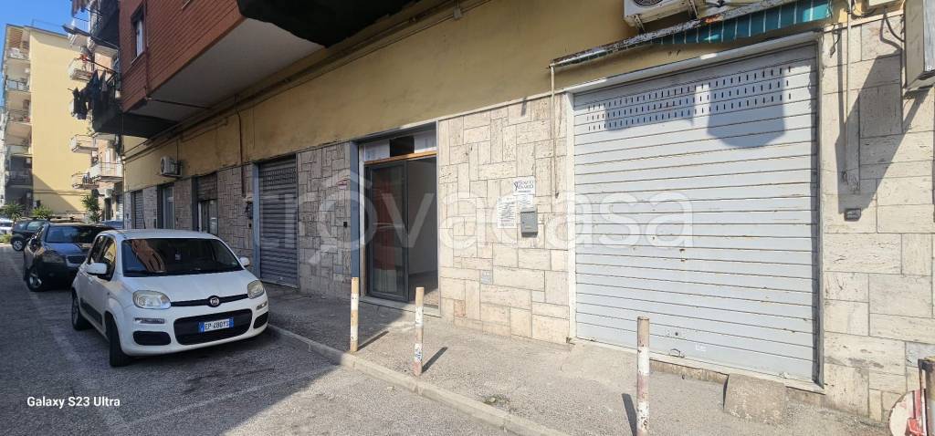 immagine annuncio 11 di 14