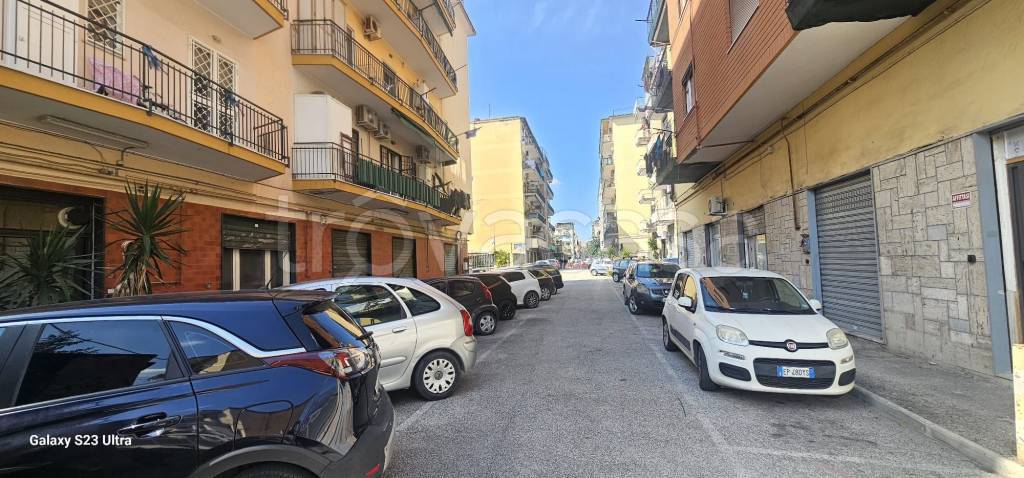 immagine annuncio 12 di 14