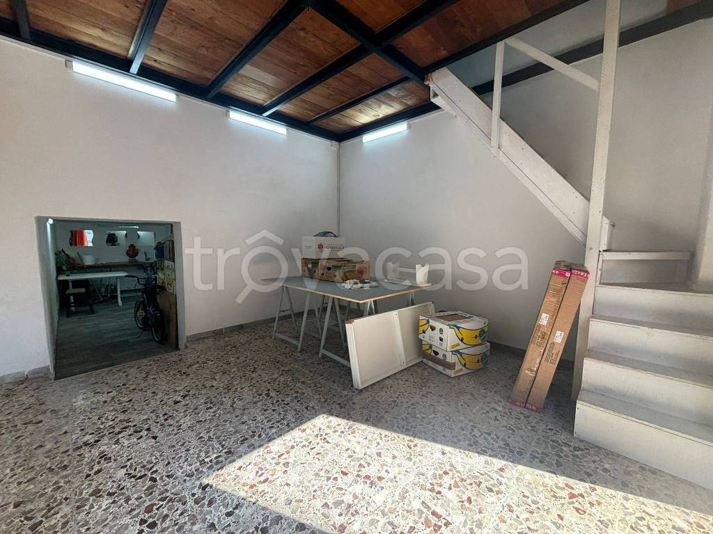 immagine annuncio 1 di 14