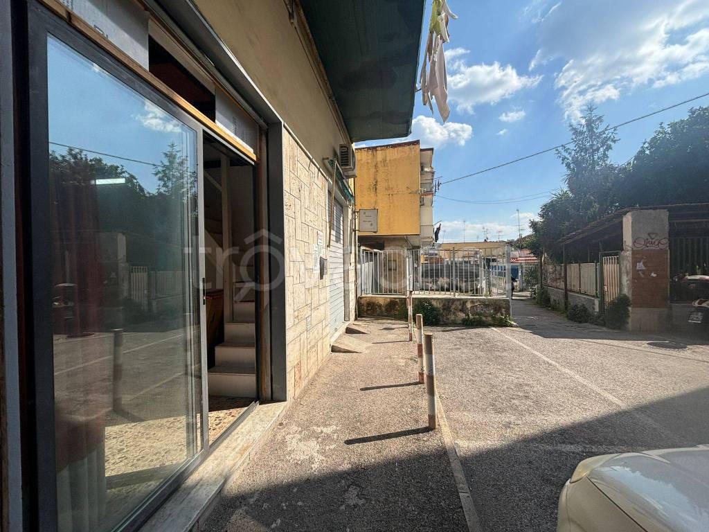 immagine annuncio 13 di 14