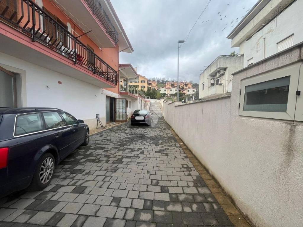 immagine annuncio 9 di 12