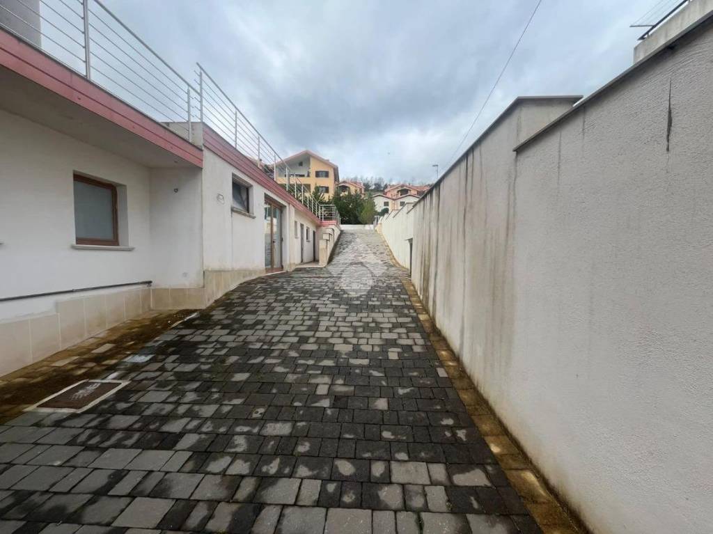 immagine annuncio 10 di 12