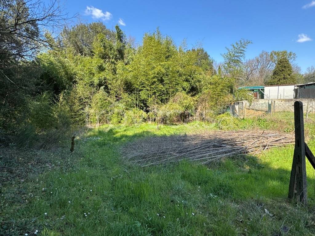 immagine annuncio 13 di 15