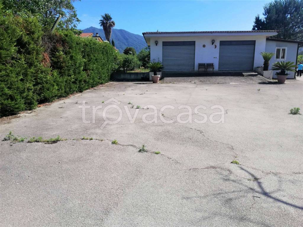 immagine annuncio 2 di 9