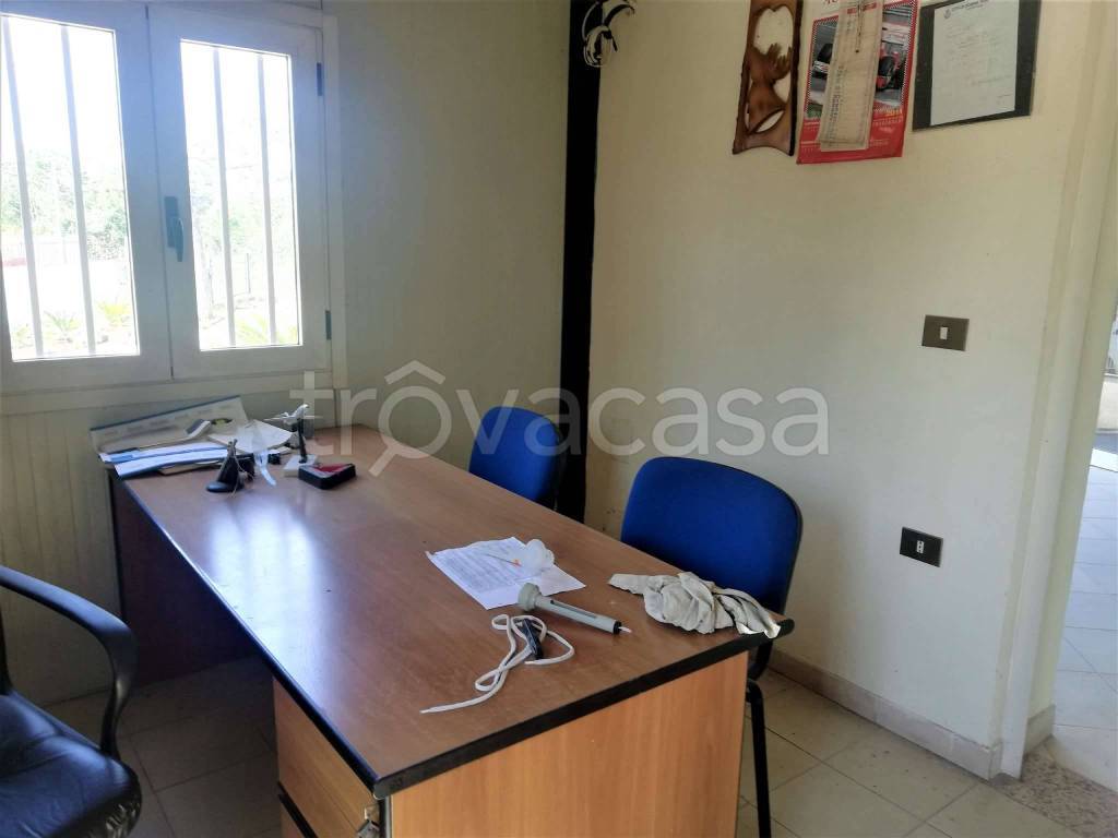 immagine annuncio 5 di 9