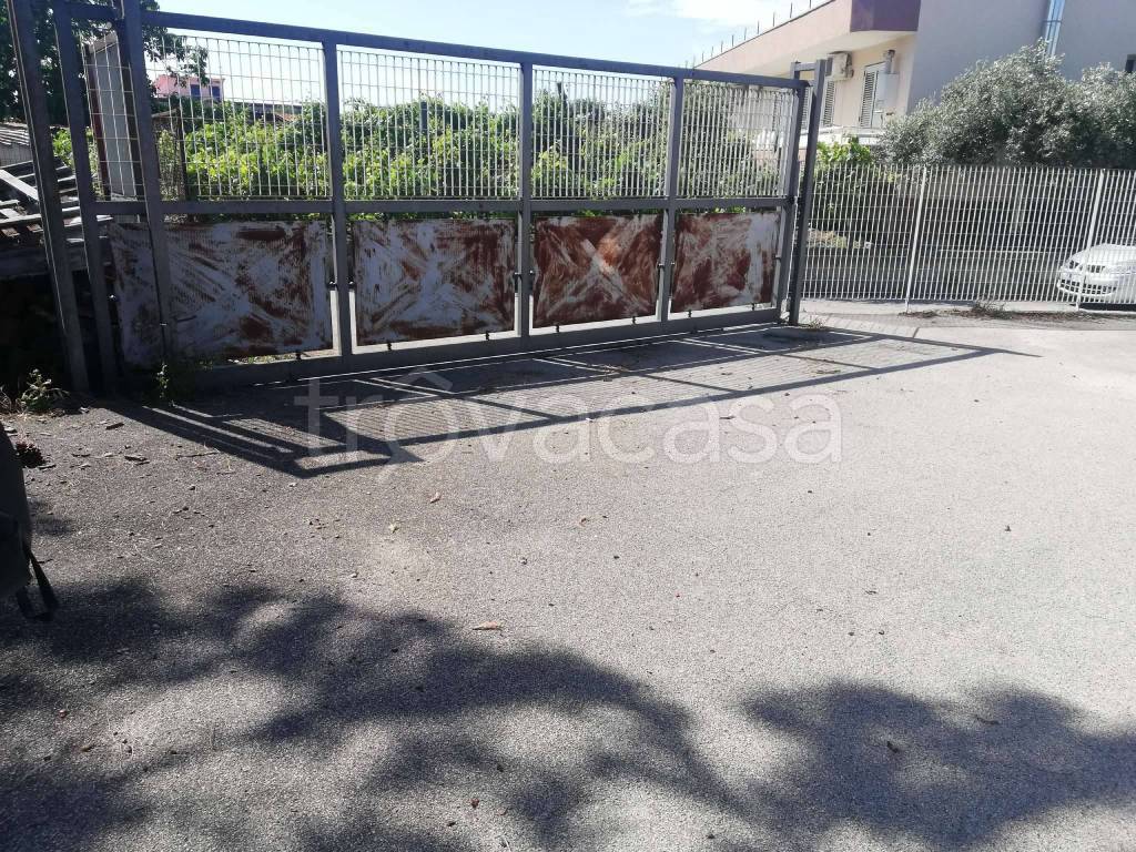 immagine annuncio 6 di 9