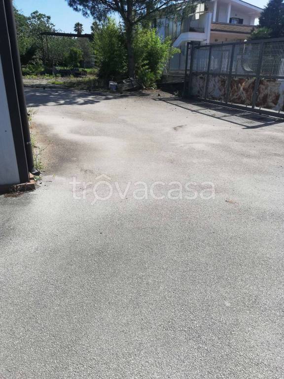 immagine annuncio 7 di 9