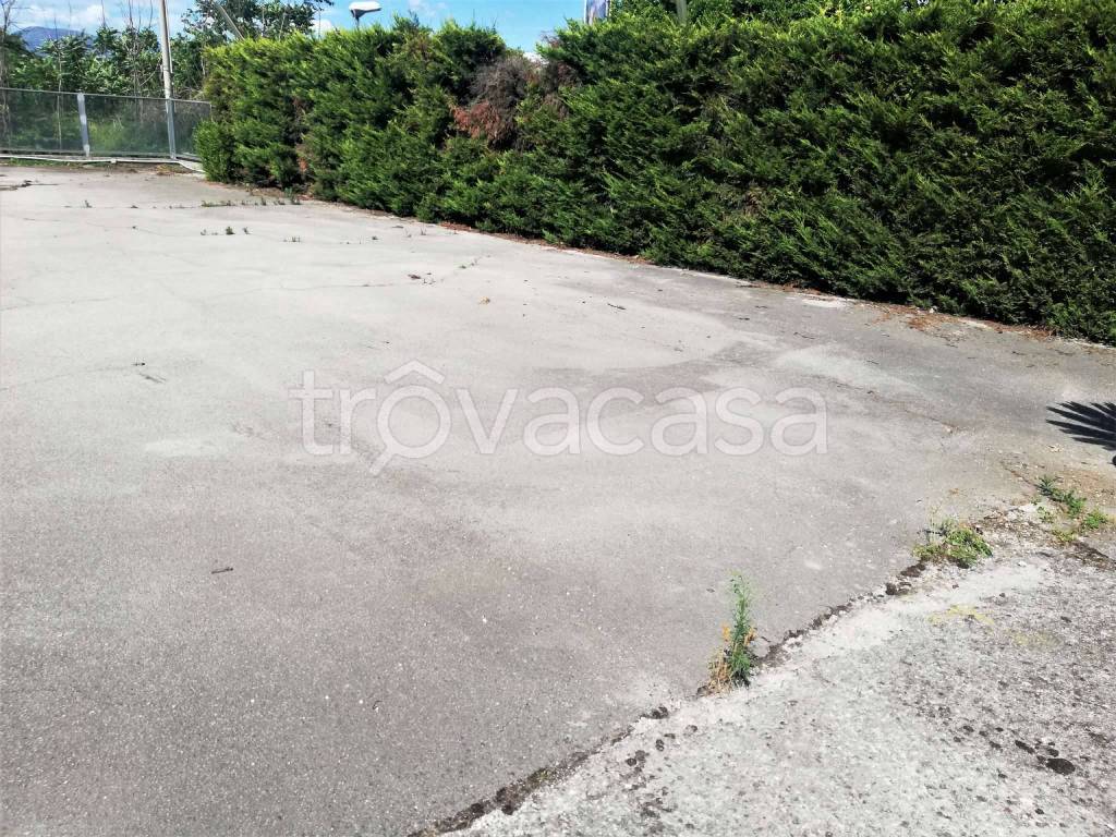 immagine annuncio 8 di 9