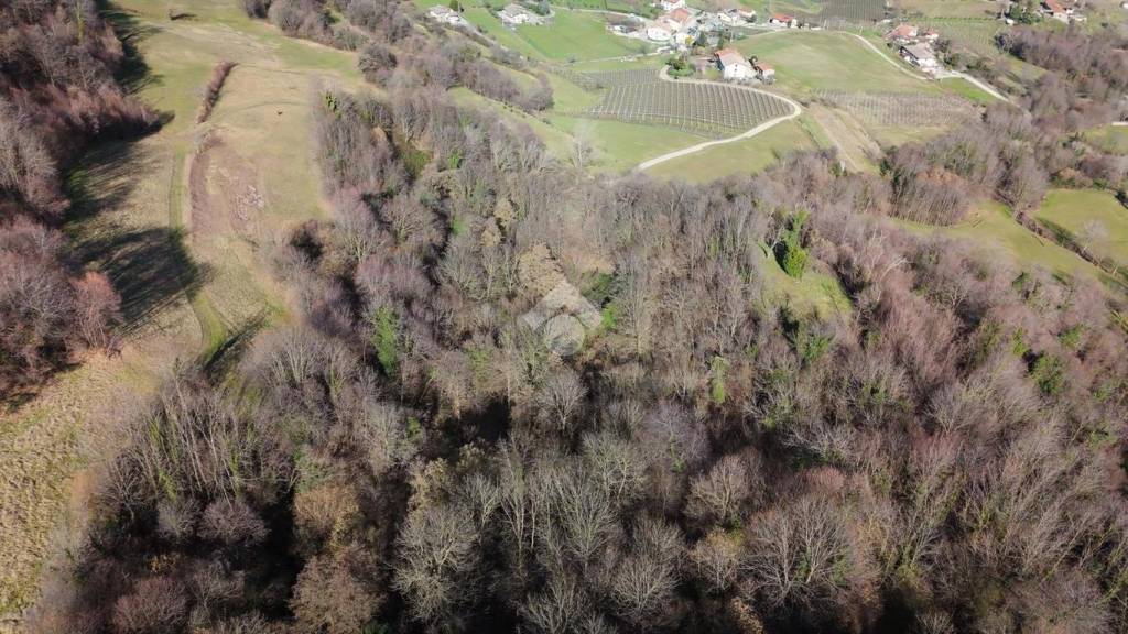 immagine annuncio 4 di 6