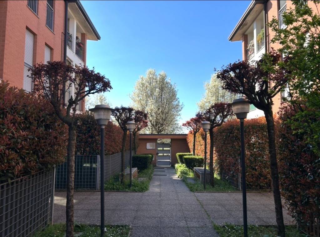 immagine annuncio 3 di 13