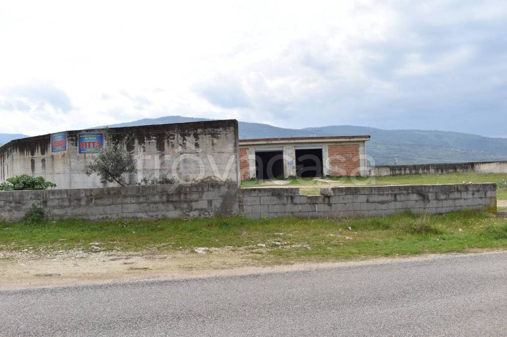 immagine annuncio 9 di 14