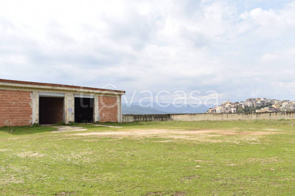 immagine annuncio 10 di 14