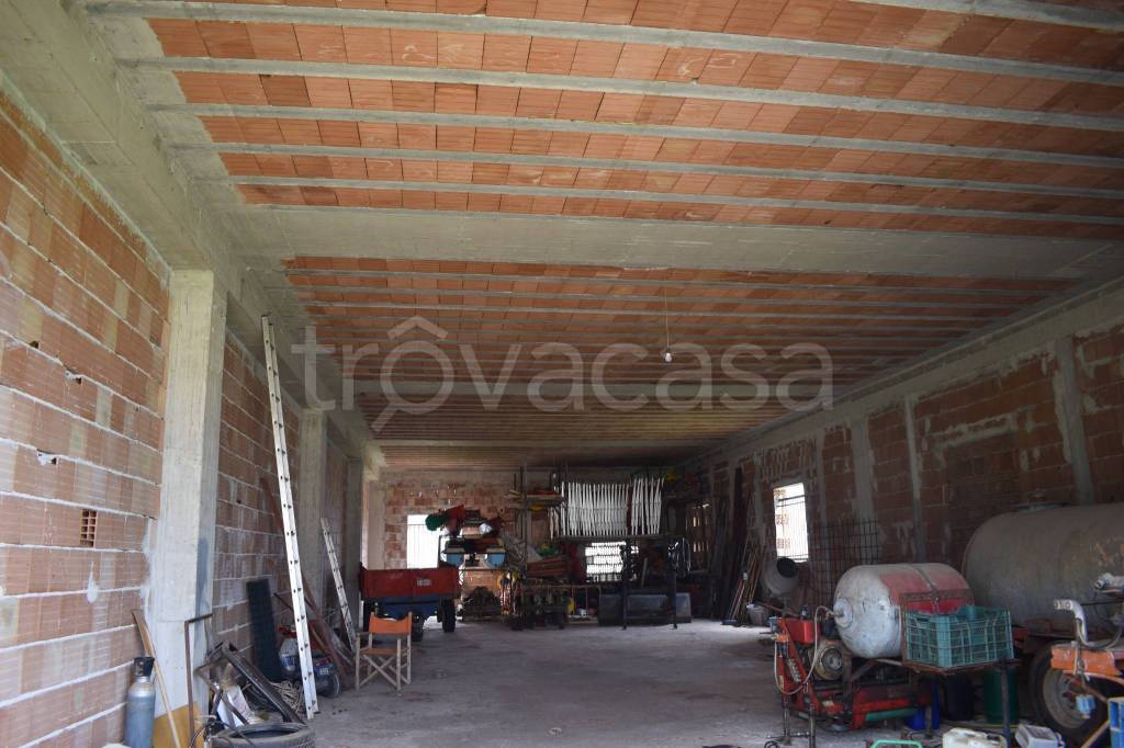 immagine annuncio 11 di 14