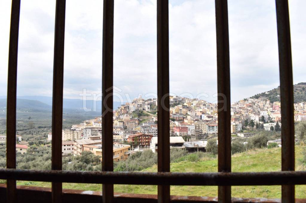 immagine annuncio 12 di 14