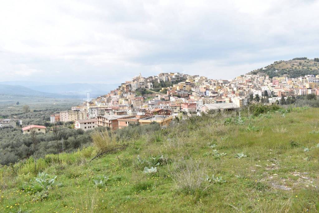 immagine annuncio 13 di 14