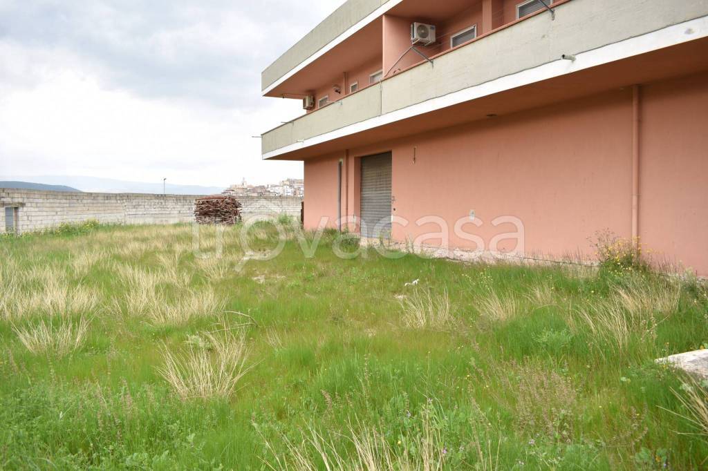 immagine annuncio 2 di 8