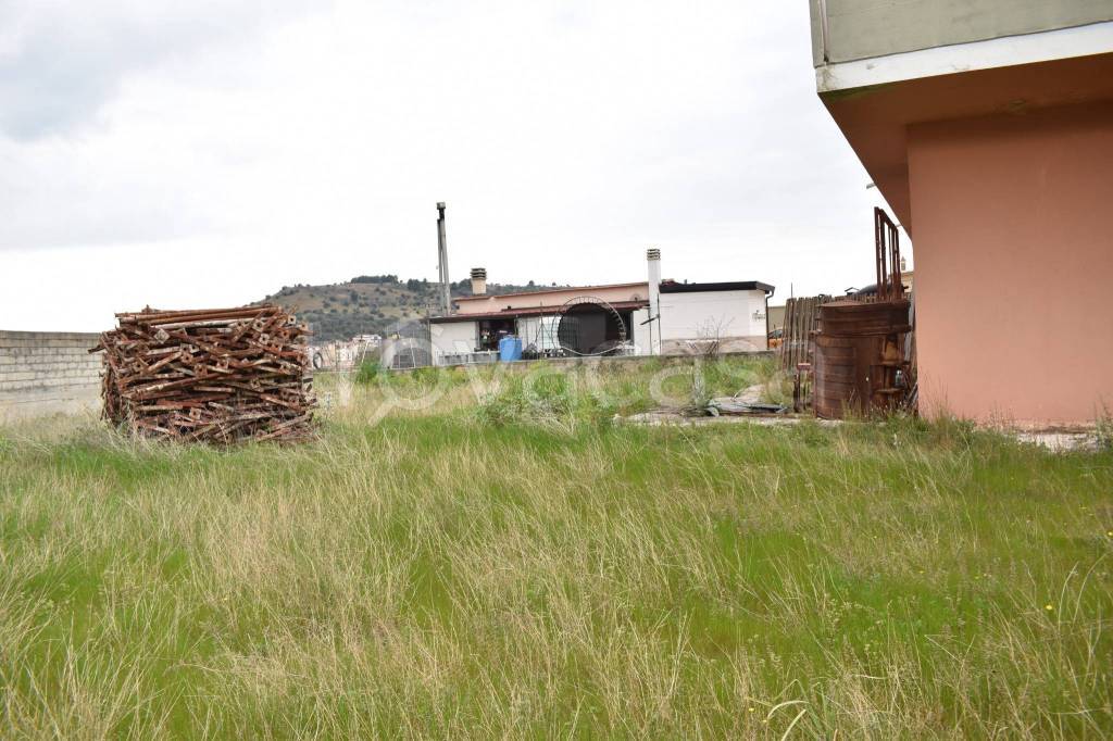 immagine annuncio 3 di 8