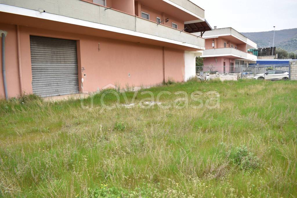 immagine annuncio 4 di 8