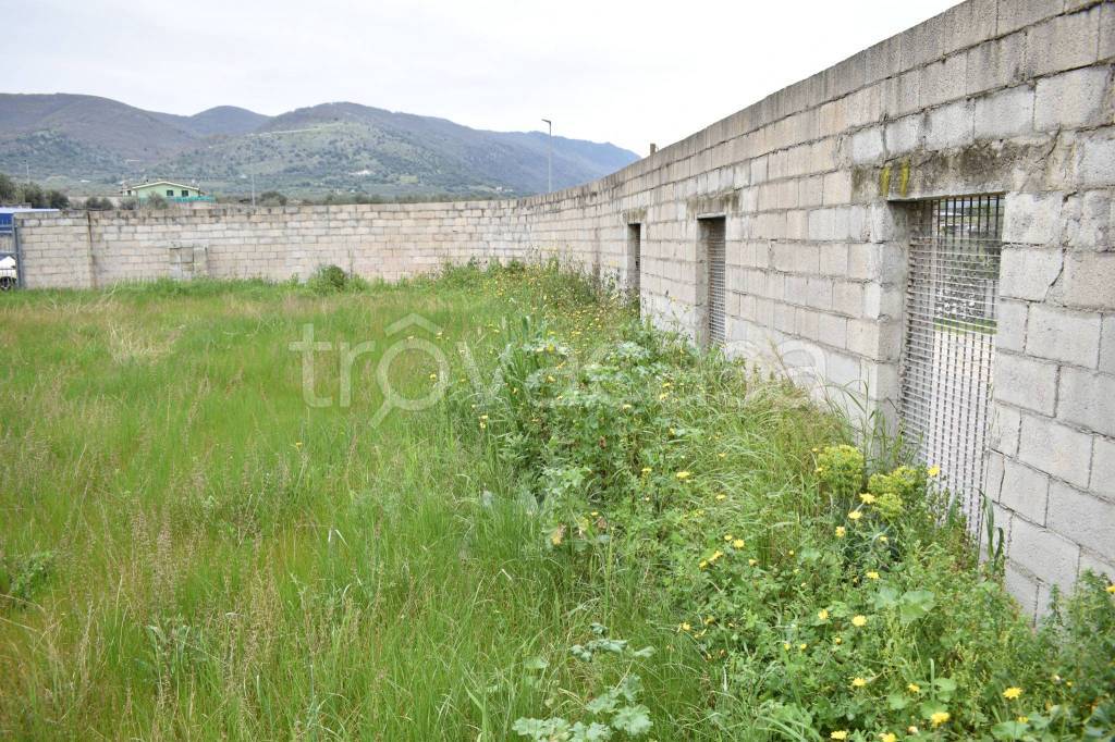 immagine annuncio 5 di 8