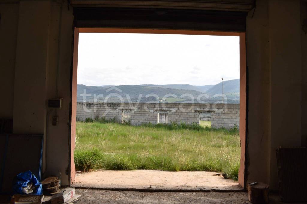 immagine annuncio 6 di 8