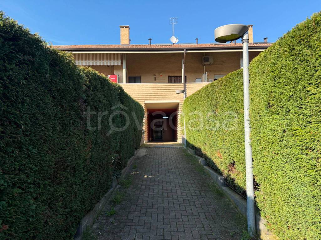 immagine annuncio 3 di 15