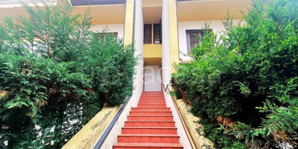 immagine annuncio 1 di 12