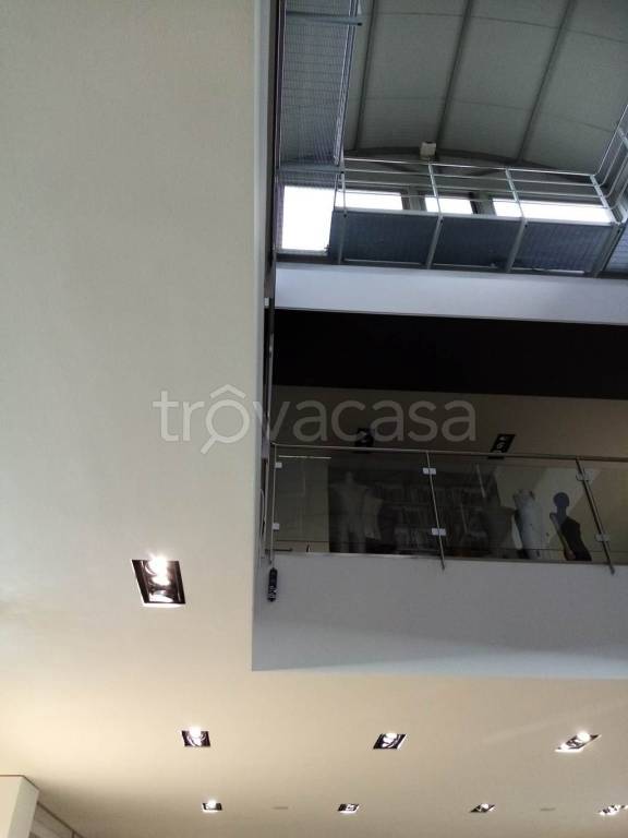 immagine annuncio 5 di 8