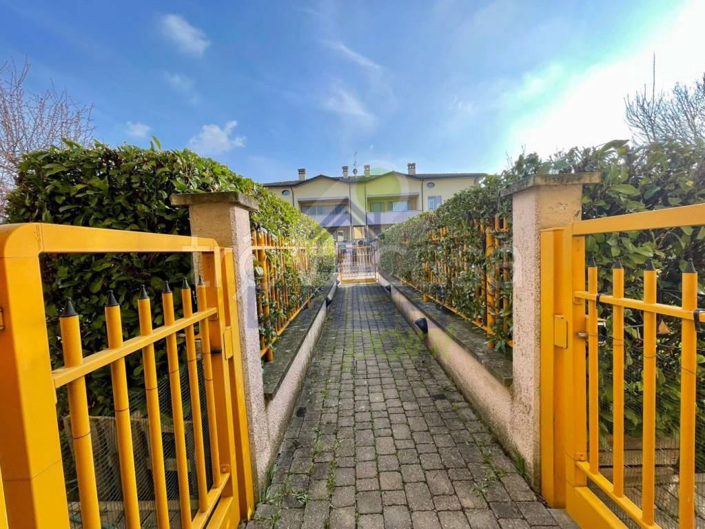 immagine annuncio 2 di 15