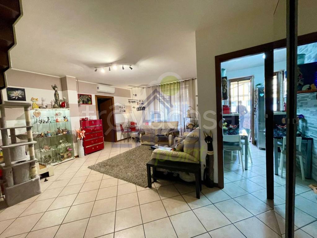 immagine annuncio 11 di 15