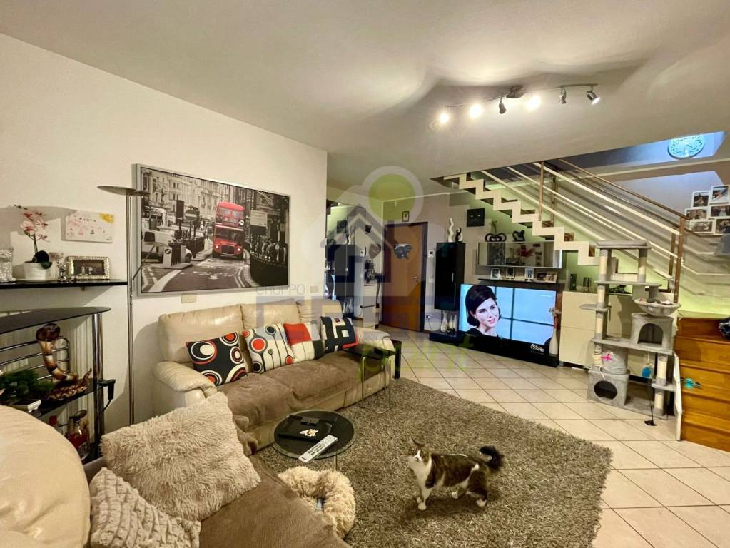 immagine annuncio 14 di 15