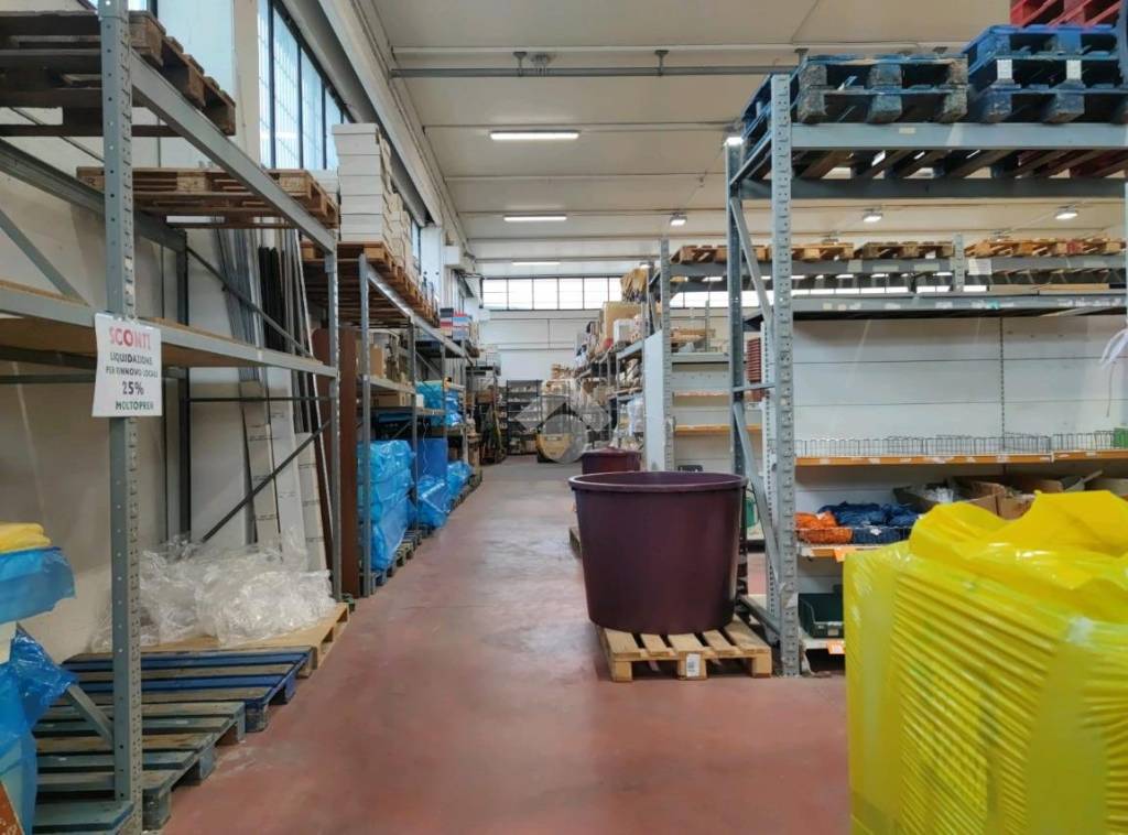 immagine annuncio 9 di 15