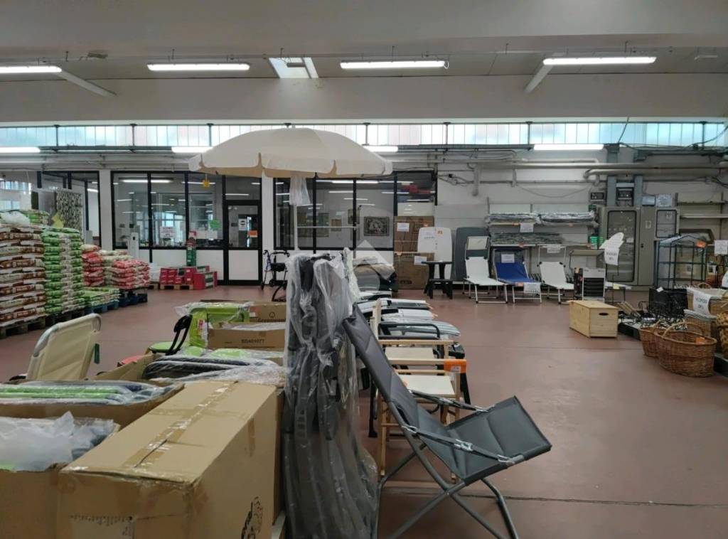 immagine annuncio 10 di 15