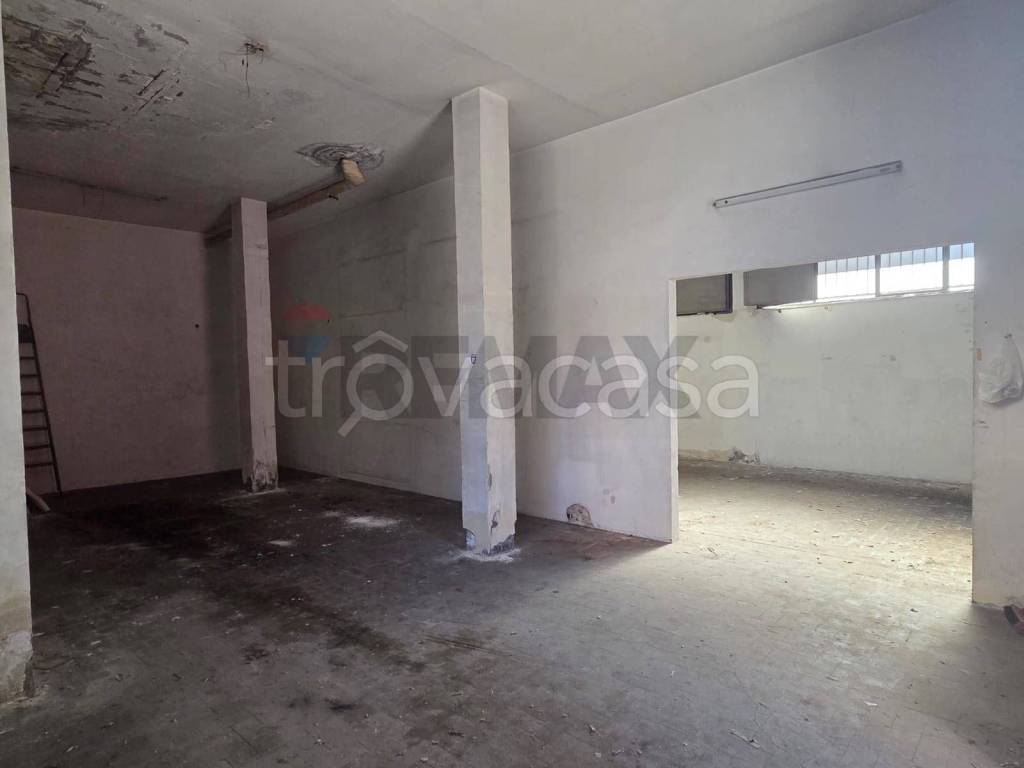 immagine annuncio 2 di 9