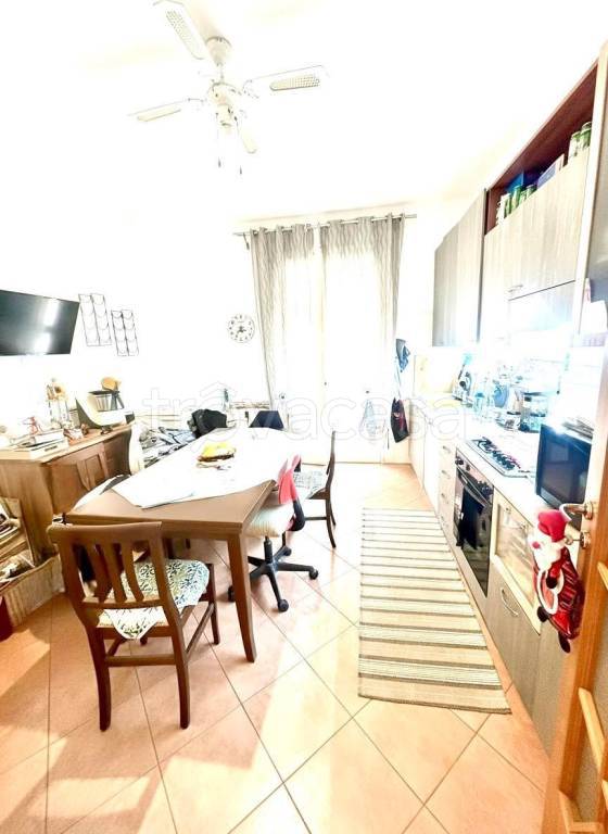 immagine annuncio 4 di 14