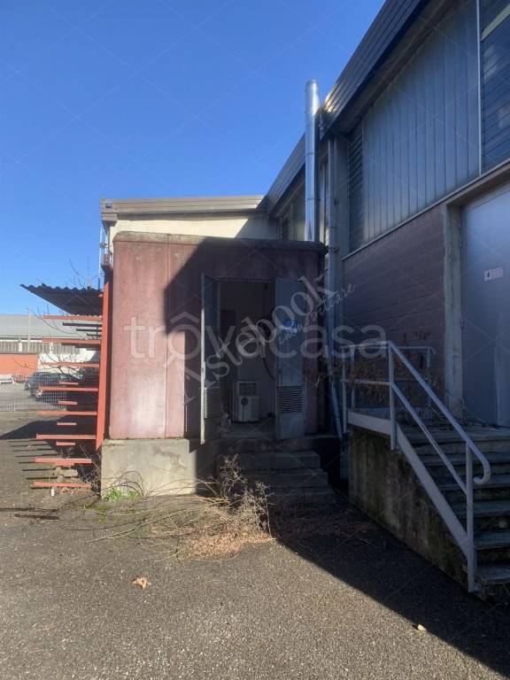 immagine annuncio 5 di 15