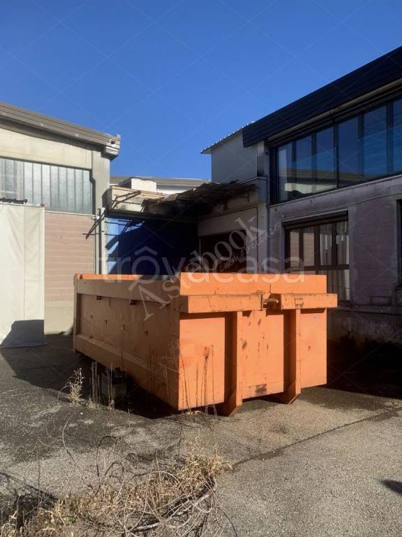 immagine annuncio 11 di 15