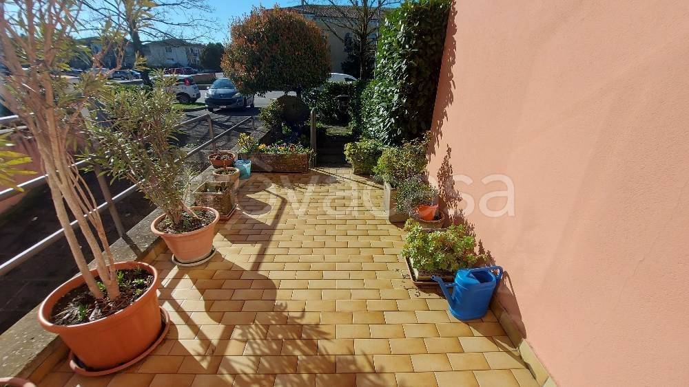 immagine annuncio 4 di 11