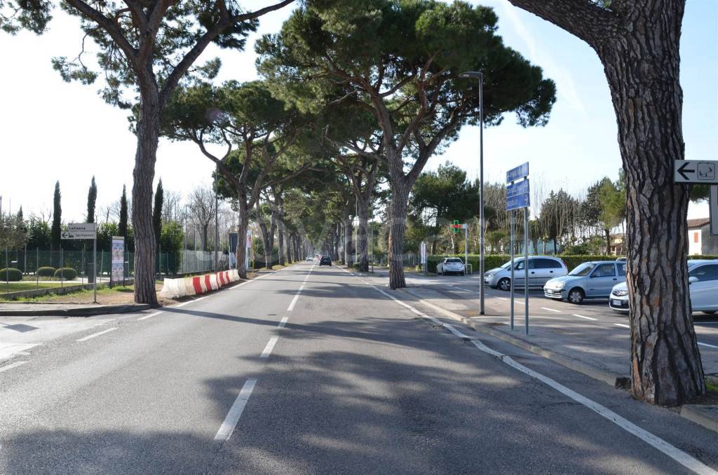 immagine annuncio 6 di 7