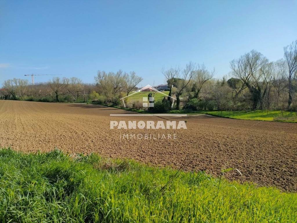 immagine annuncio 2 di 7